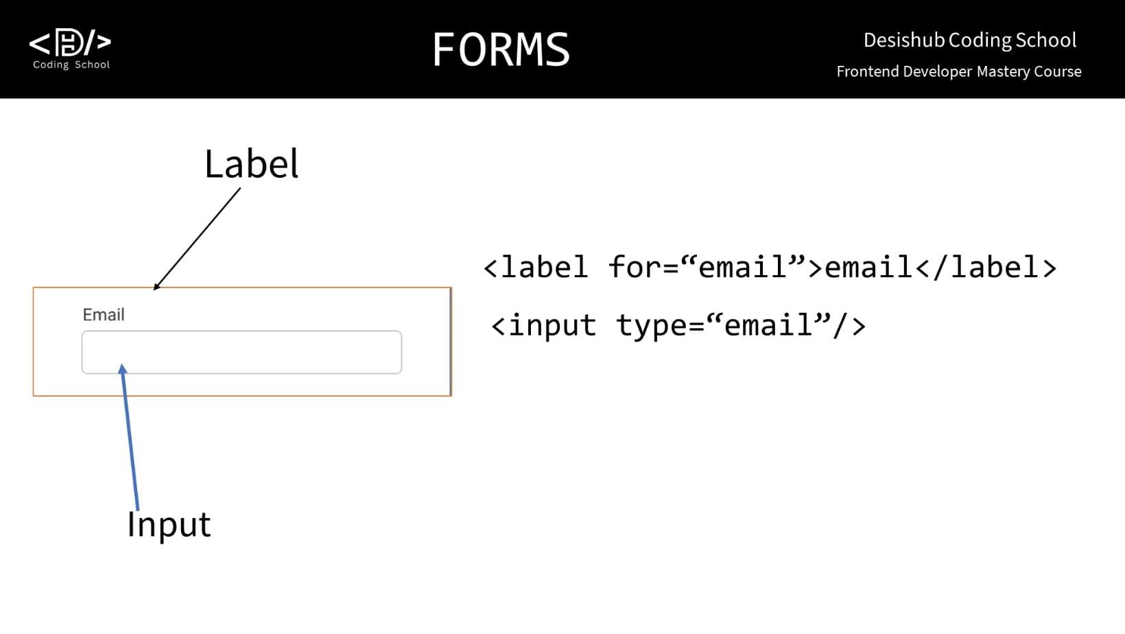 CSS Forms – Nextra